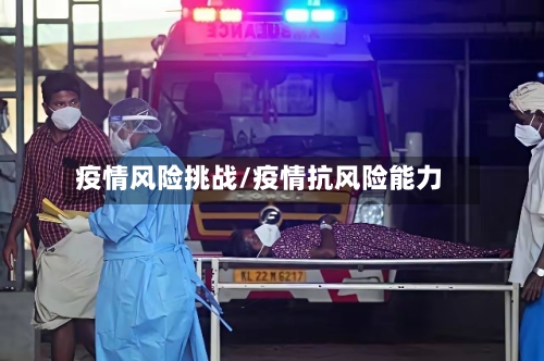 疫情风险挑战/疫情抗风险能力