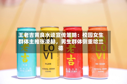 王老吉黄良水谈宣传策略：校园女生群体主推张凌赫，男生群体侧重哈兰德-第3张图片