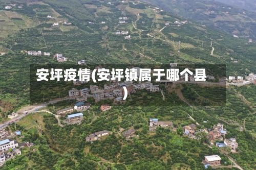 安坪疫情(安坪镇属于哪个县)