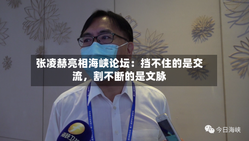张凌赫亮相海峡论坛：挡不住的是交流	，割不断的是文脉-第2张图片