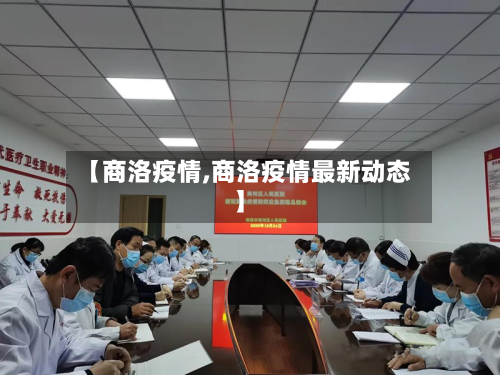 【商洛疫情,商洛疫情最新动态】-第2张图片