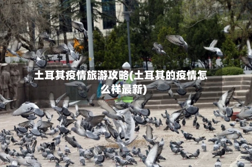 土耳其疫情旅游攻略(土耳其的疫情怎么样最新)-第2张图片