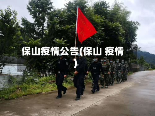 保山疫情公告(保山 疫情)