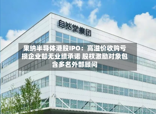果纳半导体港股IPO：高溢价收购亏损企业却无业绩承诺 股权激励对象包含多名外部顾问-第3张图片