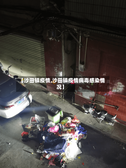 【沙田镇疫情,沙田镇疫情病毒感染情况】-第2张图片